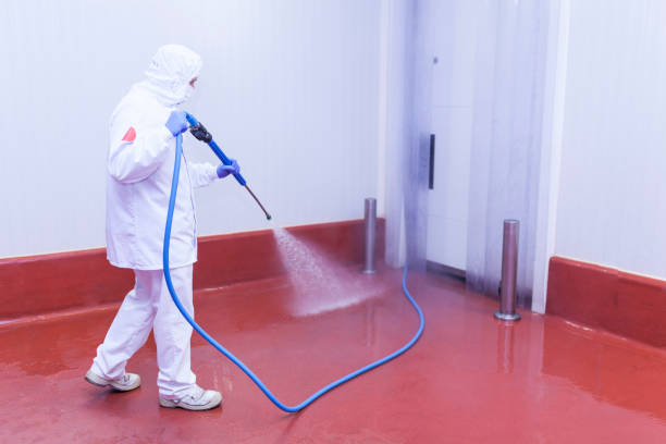 Best Concrete Sealing  in Boulder Hl, IL